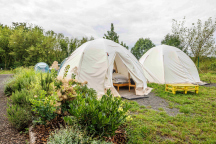 Glamping stany