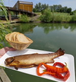Oáza Šašňák Bistro