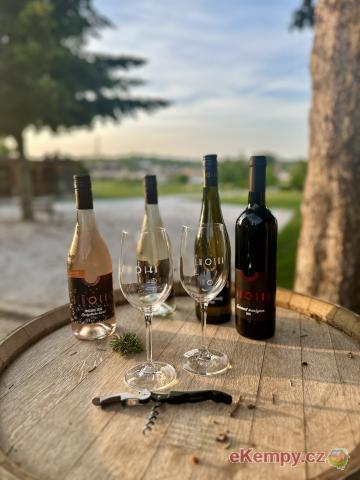 Penziony a kemp San Marco, Mutěnice Penziony a kemp San Marco Vinařství